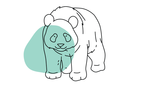 panda
